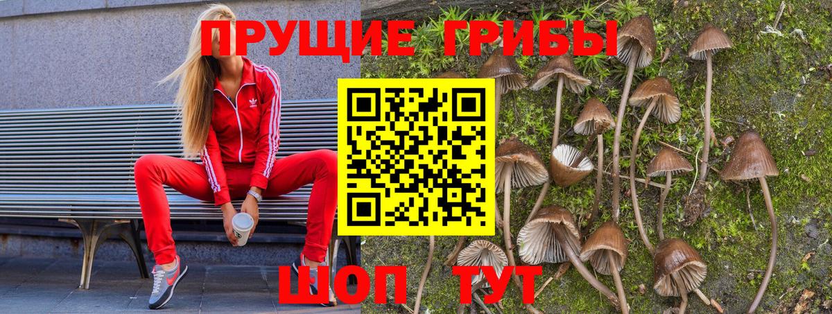 Галлюциногенные грибы Psilocybe  Псилоцибиновые грибы мухоморы  Вход с VPN  Острогожск 