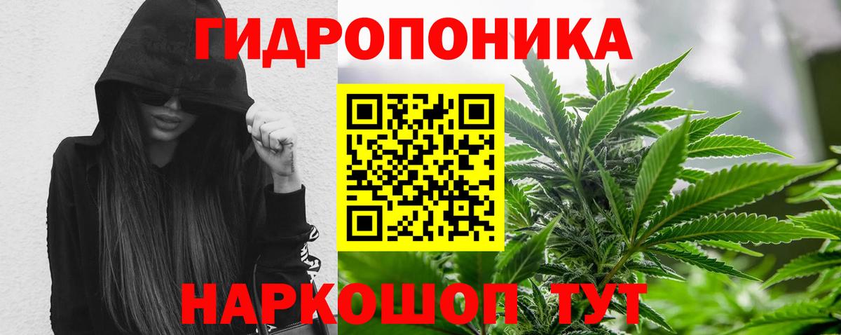 МАРИХУАНА план  Бошки марихуана OG Kush  Вход с VPN  Острогожск  МАРИХУАНА конопля 